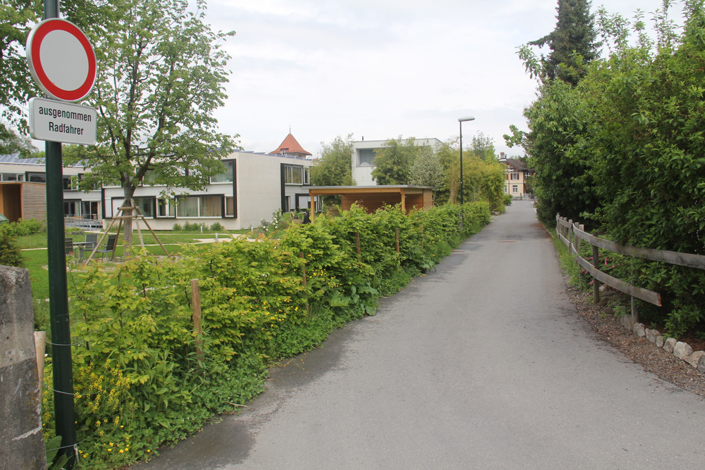 Klosterreben_2_JPG-1372621394