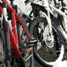 DSC02784 _Large_.JPG