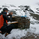 DSC02805 _Large_.JPG