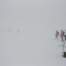 DSC02824 _Large_.JPG