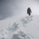 DSC02836 _Large_.JPG