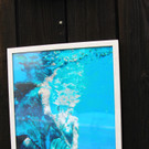 BK_Subaqua_Schwimmbad_Felsenau 13_jpg-1372621104