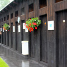 BK_Subaqua_Schwimmbad_Felsenau 16_jpg-1372621192