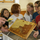 DSC04802.JPG