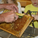 DSC04803.JPG