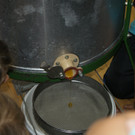 DSC04820.JPG