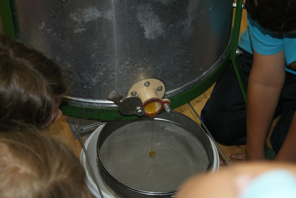 DSC04820.JPG
