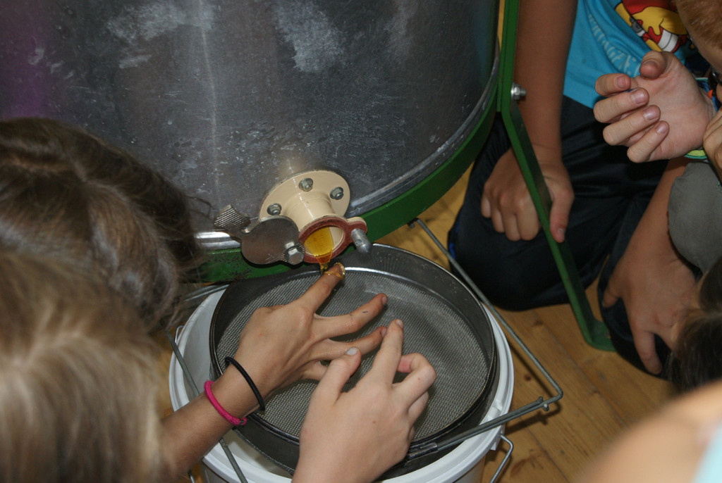 DSC04821.JPG