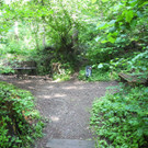 DSCN9803_JPG-1372650670