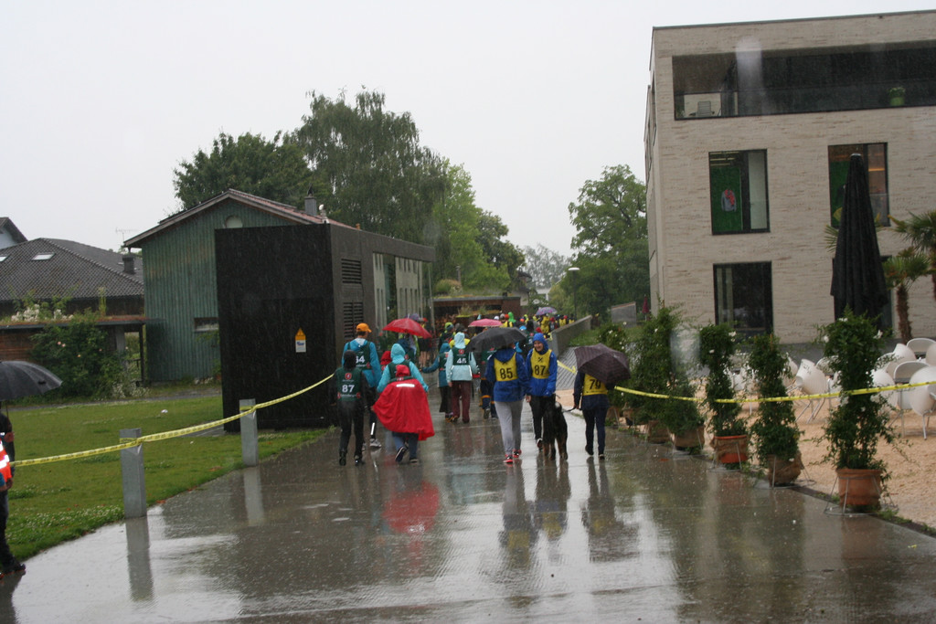 grilla_jpg 149_jpg-1372663041
