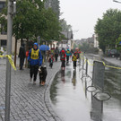 grilla_jpg 173_jpg-1372663251