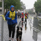 grilla_jpg 174_jpg-1372663263