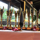 DSC_1268 _Large_.JPG