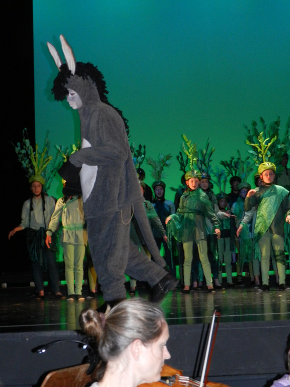 Kornmarkter__ffnunf 10_05_2013  Bremer Stadtmusikanten 028_jpg-1372690168