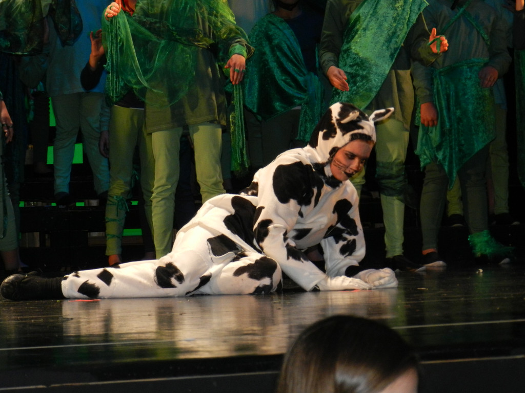 Kornmarkter__ffnunf 10_05_2013  Bremer Stadtmusikanten 031_jpg-1372690260