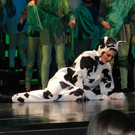 Kornmarkter__ffnunf 10_05_2013  Bremer Stadtmusikanten 032_jpg-1372690292