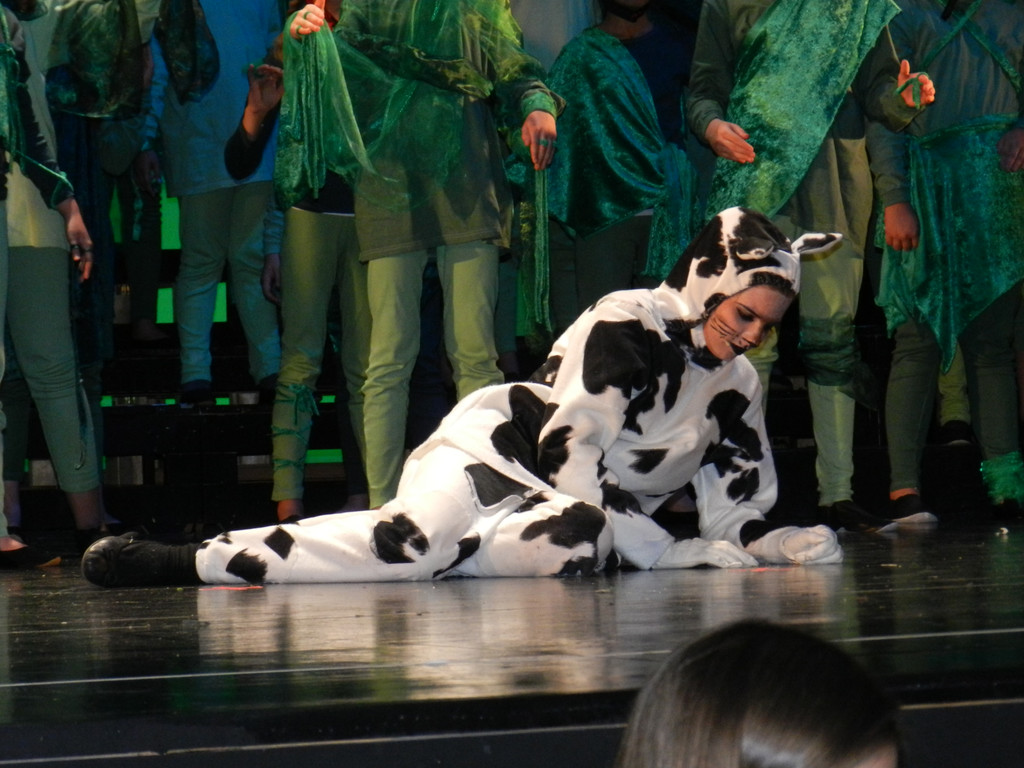 Kornmarkter__ffnunf 10_05_2013  Bremer Stadtmusikanten 032_jpg-1372690292