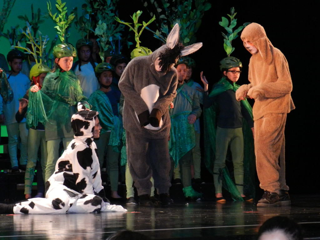 Kornmarkter__ffnunf 10_05_2013  Bremer Stadtmusikanten 033_jpg-1372690325