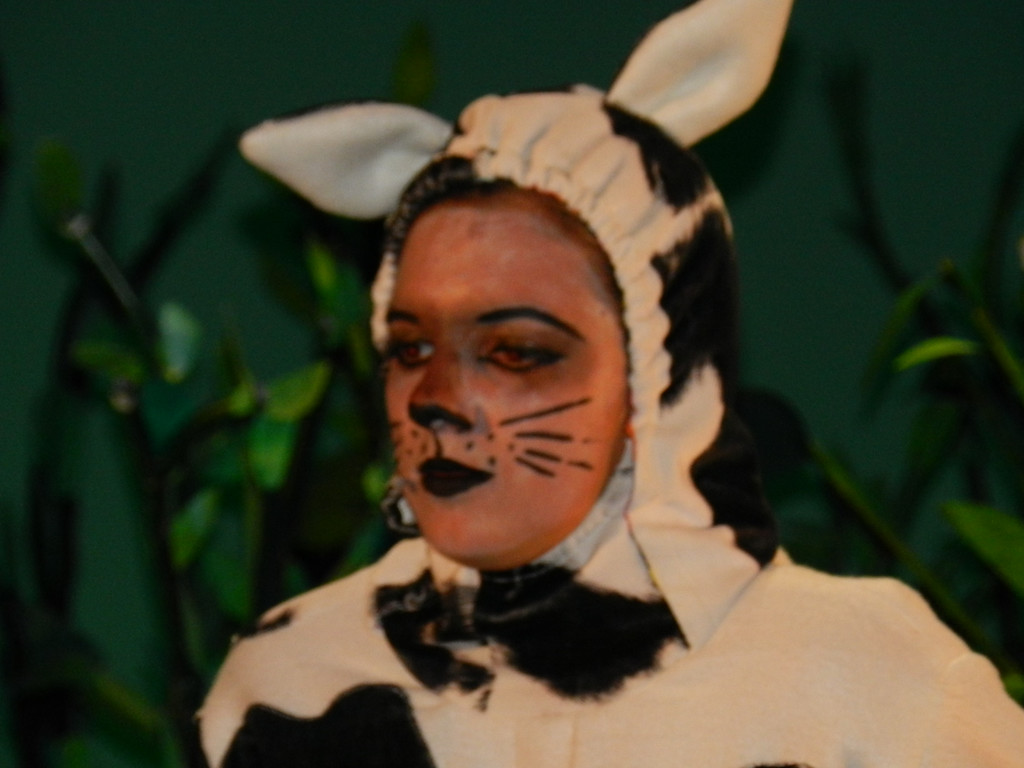 Kornmarkter__ffnunf 10_05_2013  Bremer Stadtmusikanten 034_jpg-1372690360