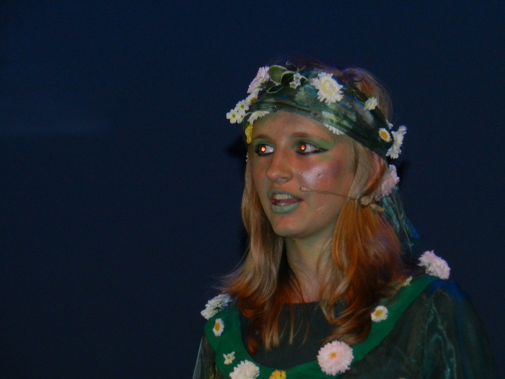 Kornmarkter__ffnunf 10_05_2013  Bremer Stadtmusikanten 070_jpg-1372691419