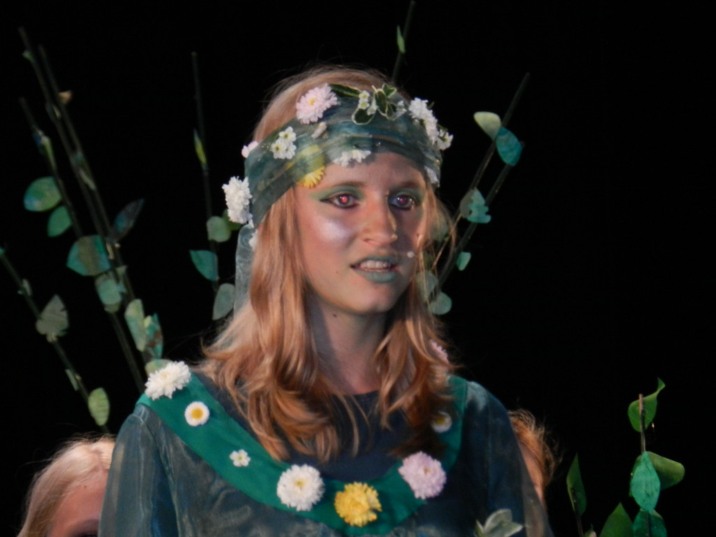 Kornmarkter__ffnunf 10_05_2013  Bremer Stadtmusikanten 073_jpg-1372691516