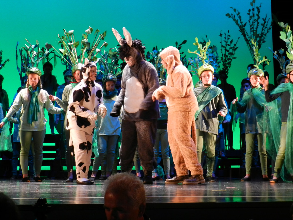 Kornmarkter__ffnunf 10_05_2013  Bremer Stadtmusikanten 101_jpg-1372692122