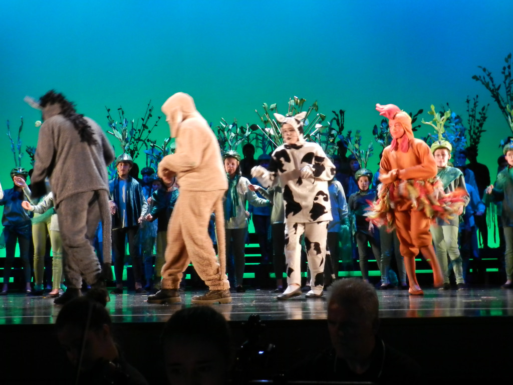 Kornmarkter__ffnunf 10_05_2013  Bremer Stadtmusikanten 104_jpg-1372692169