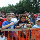 IMG_0931_jpg-1372700120