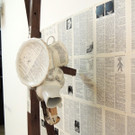 DSCN0294_JPG-1372700531