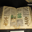 DSCN0456_JPG-1372701295