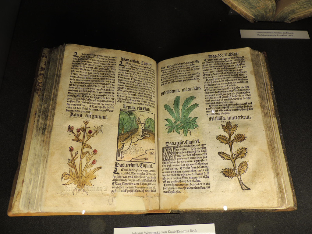 DSCN0456_JPG-1372701295