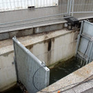 DSCN0589_JPG-1372704064