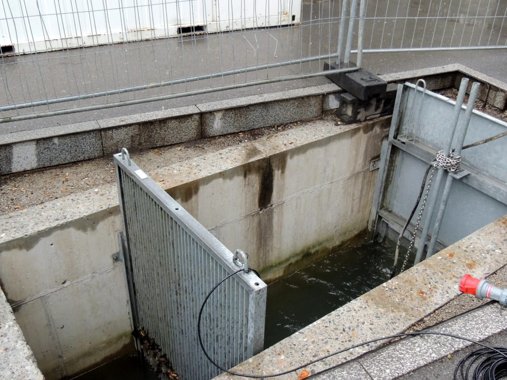 DSCN0589_JPG-1372704064