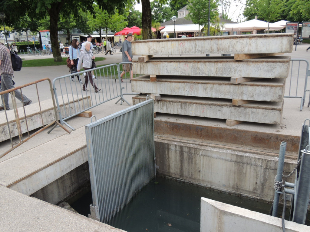 DSCN6043_JPG-1372704072