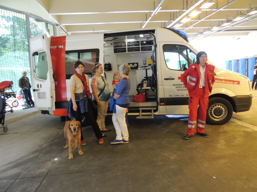 DSCN1055_JPG-1372705386