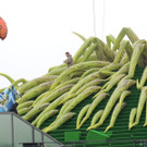 DSCN0668_JPG-1372707361