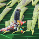 DSCN0675_JPG-1372707371