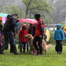 Hundefreunde