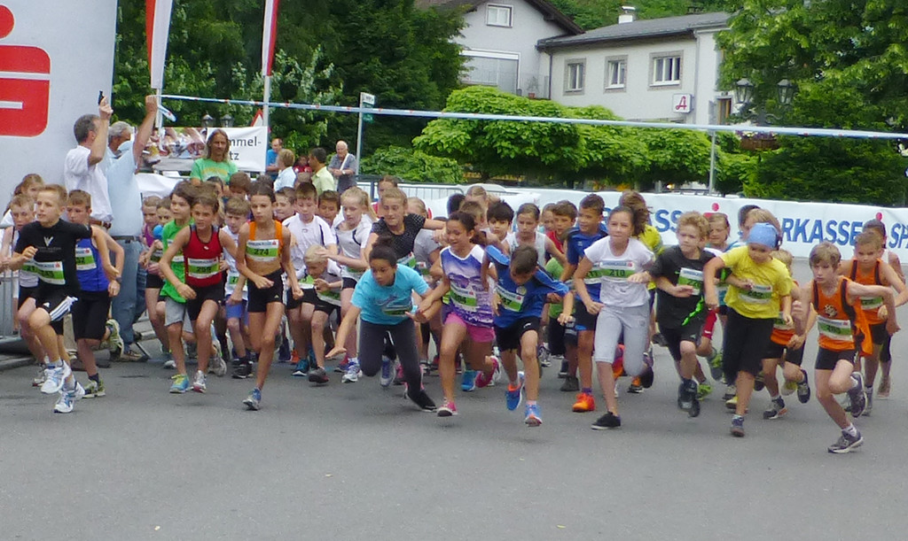 Lauf5a_jpg-1372858503