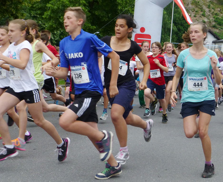 Lauf6d_jpg-1372858652