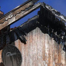 normal_08032010brandainringssaktivnews_20_17_.jpg