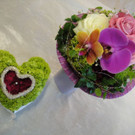 DSC00095.JPG