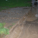 DSC_0082.jpg
