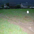 DSC_0084.jpg