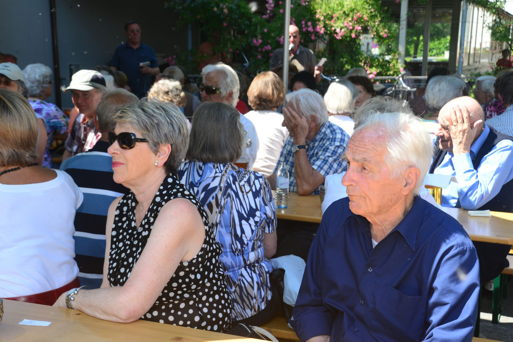 DSC_2655_jpg-1372954664