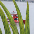 DSCN9786_JPG-1372977894