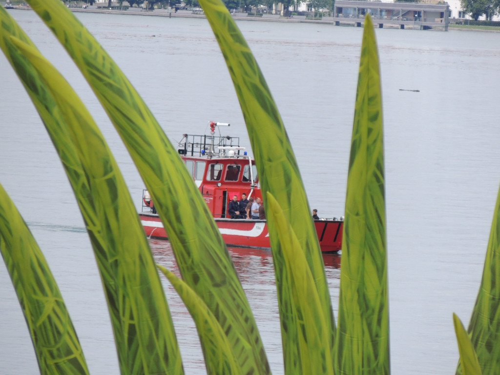 DSCN9786_JPG-1372977894