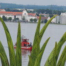 DSCN9787_JPG-1372977899