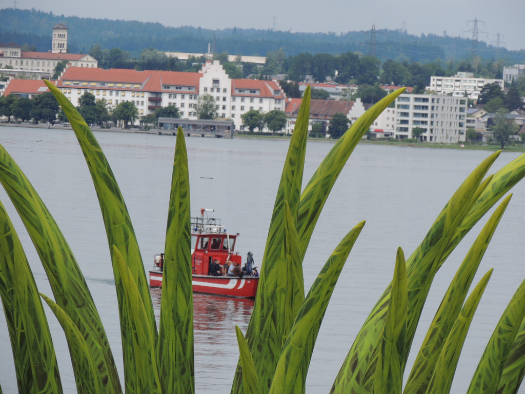 DSCN9787_JPG-1372977899