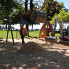 DSCN3117_JPG-1372983059